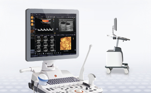 Sonographische Untersuchung 1 Sonographische Untersuchung